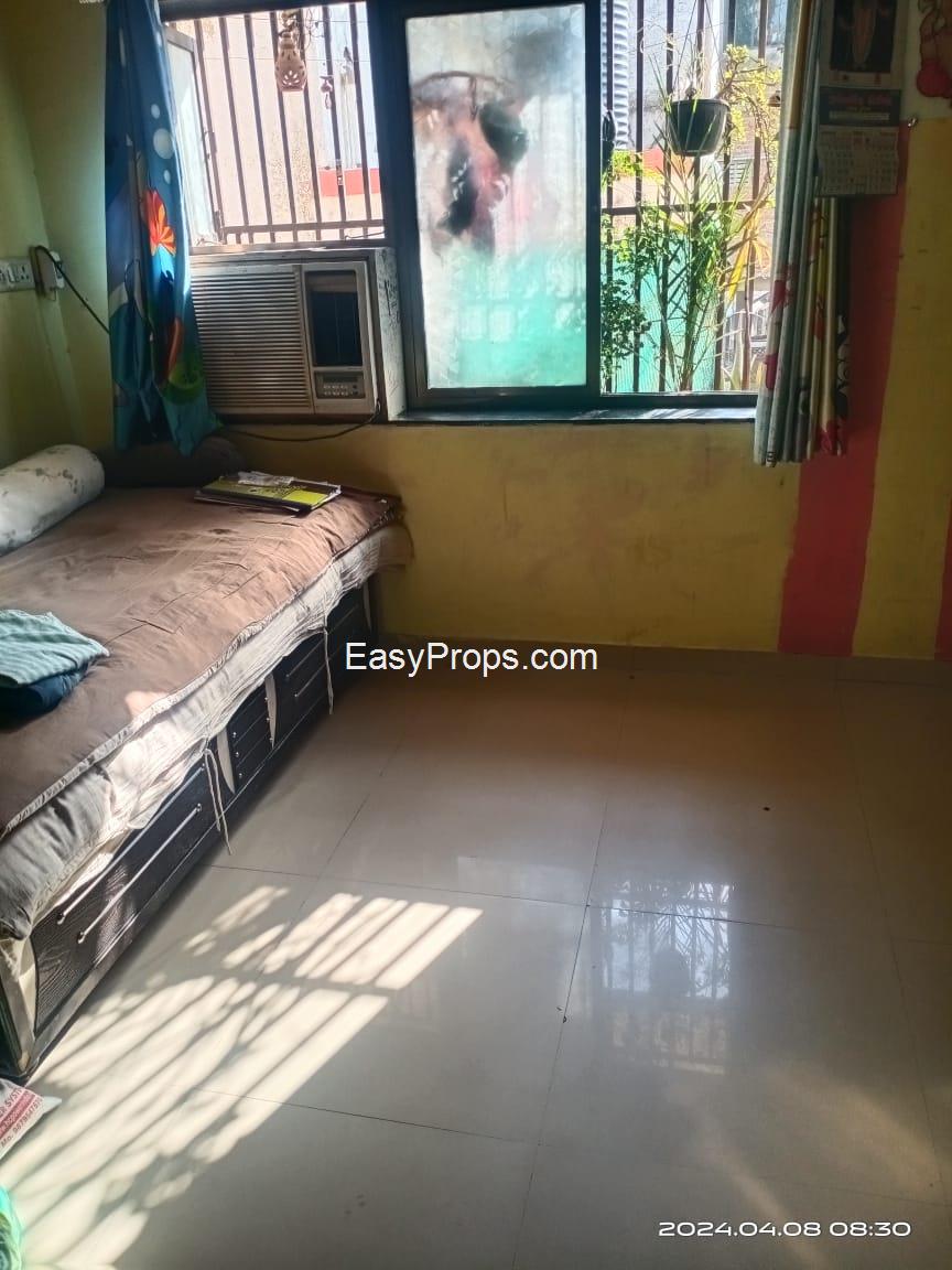 WhatsApp Image 2024-11-12 at 420241112164138873.jpeg